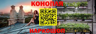 спиды Будённовск