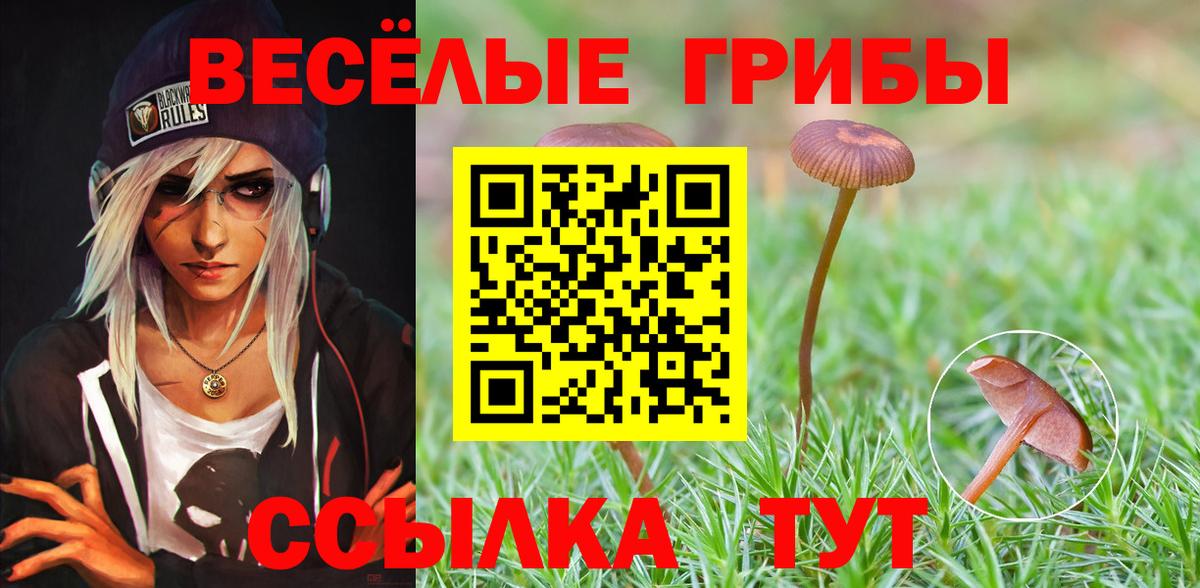 Галлюциногенные грибы прущие грибы  Галлюциногенные грибы Cubensis  Вход с VPN  Усинск 