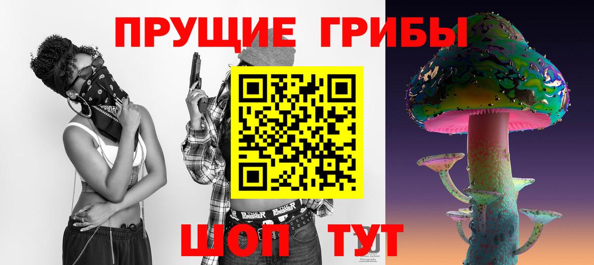 Галлюциногенные грибы Psilocybine cubensis Усинск